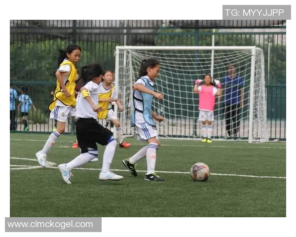 《在绿茵场上追寻爱与梦想:一位足球女星的勇敢之路》 《在绿茵场上追寻爱与梦想:一位足球女星的勇敢之路》