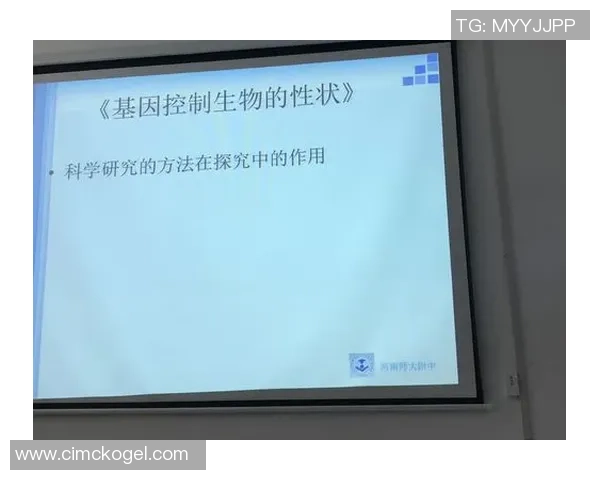 《足球星球指挥官玩法全解析策略技巧指南》 《足球星球指挥官玩法全解析策略技巧指南》