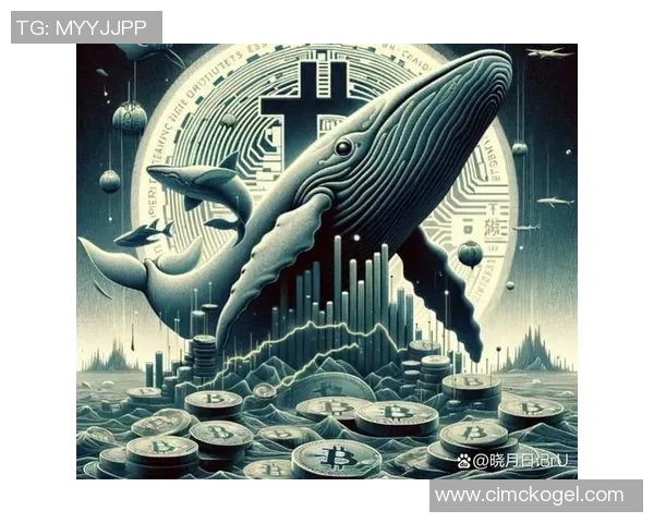 保加利亚男足球星崛起之路：从草根到欧洲足坛的传奇故事