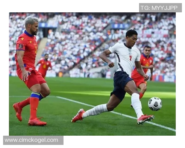 加纳足球球星闪耀国际赛场书写非洲绿茵传奇