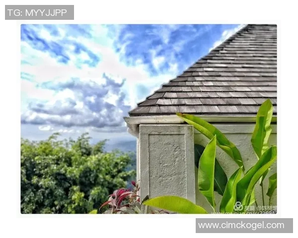 巴拿马足球球星意大利之路从中美洲绿茵到欧洲豪门的荣耀征程